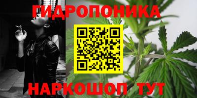 a pvp Пенза