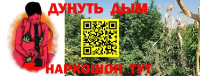ешки Партизанск