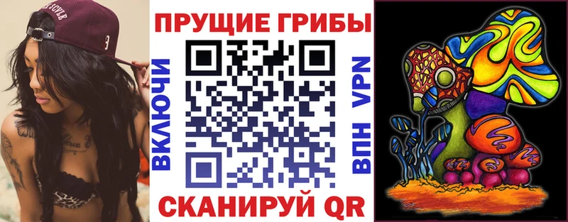 купить  цена  Нягань  Псилоцибиновые грибы GOLDEN TEACHER 
