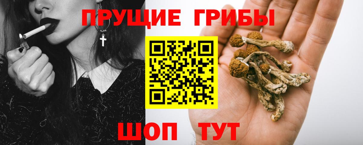 цены наркотик  Вход с VPN  Нягань  Псилоцибиновые грибы MAGIC MUSHROOMS 